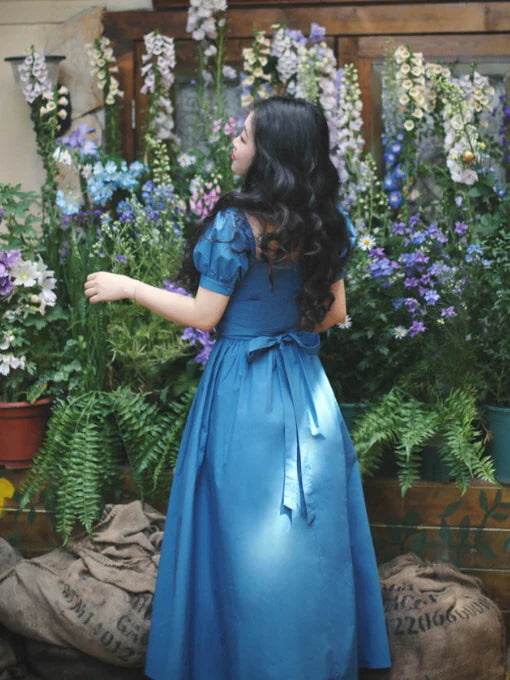 Enchanted Sapphire Princess Dress