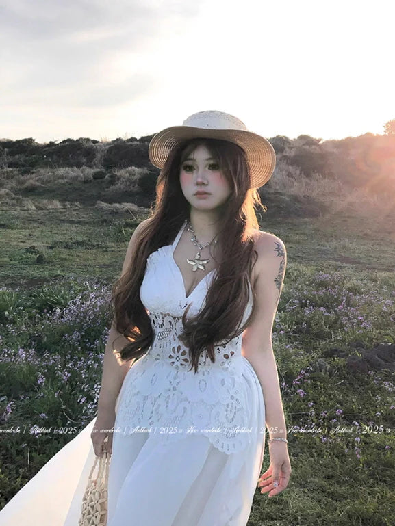 Sunlit Meadow Eyelet Lace Dress