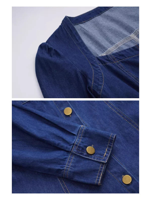 Vintage Indigo Denim Dress