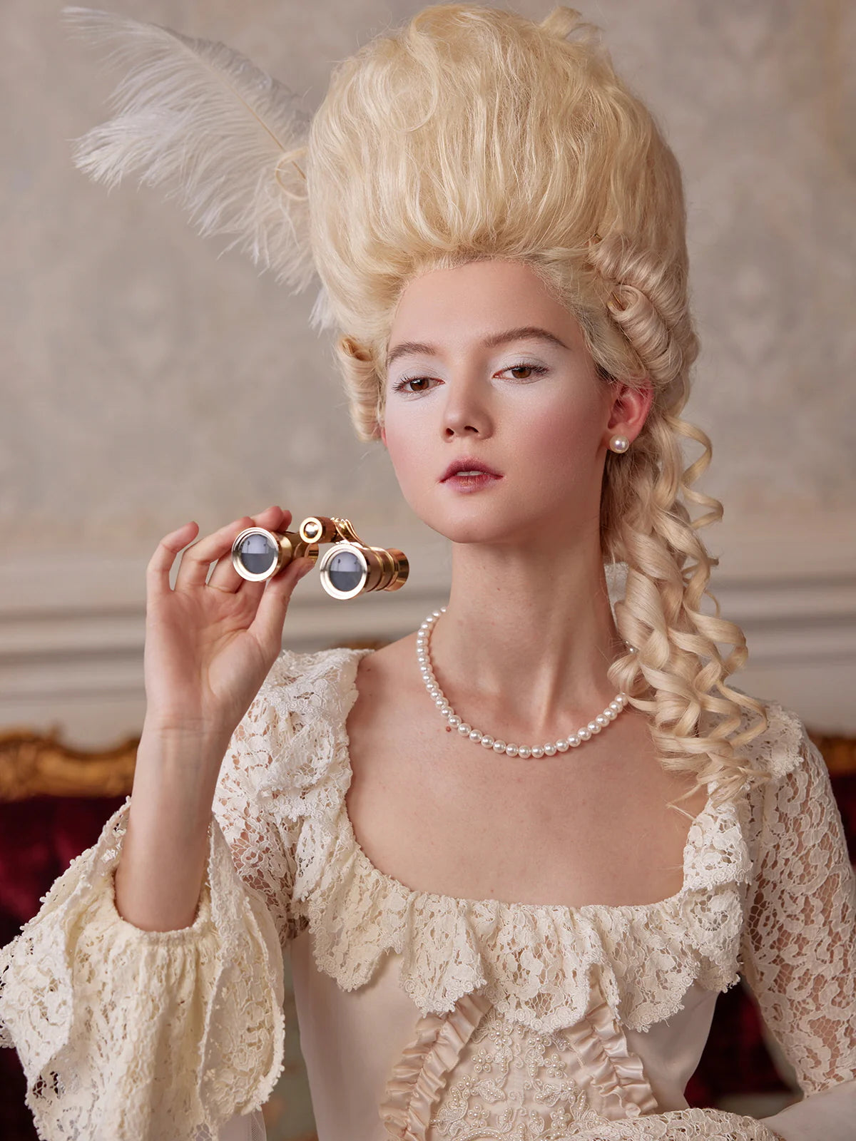 Rococo Lace Elegance Dress