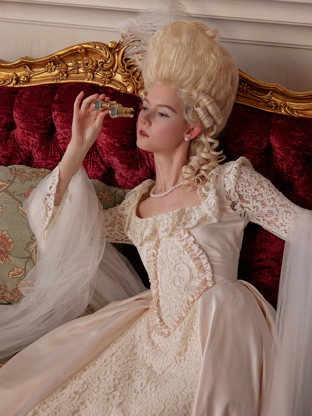 Rococo Lace Elegance Dress