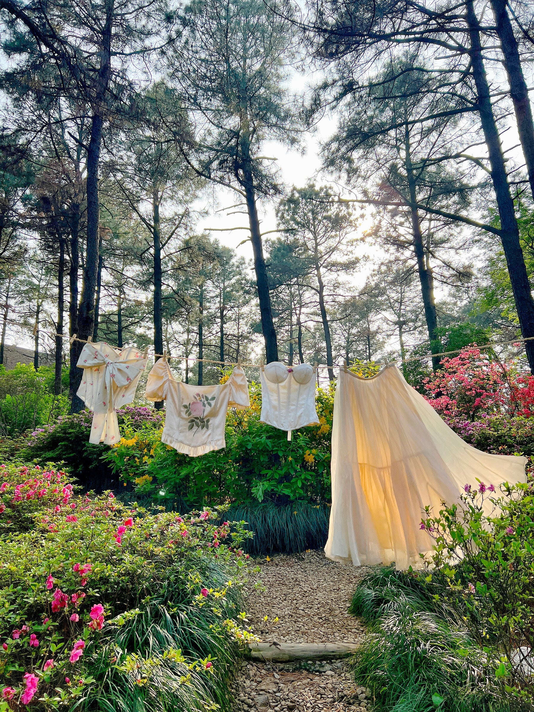 Romantic Rose Embroidered Corset Top