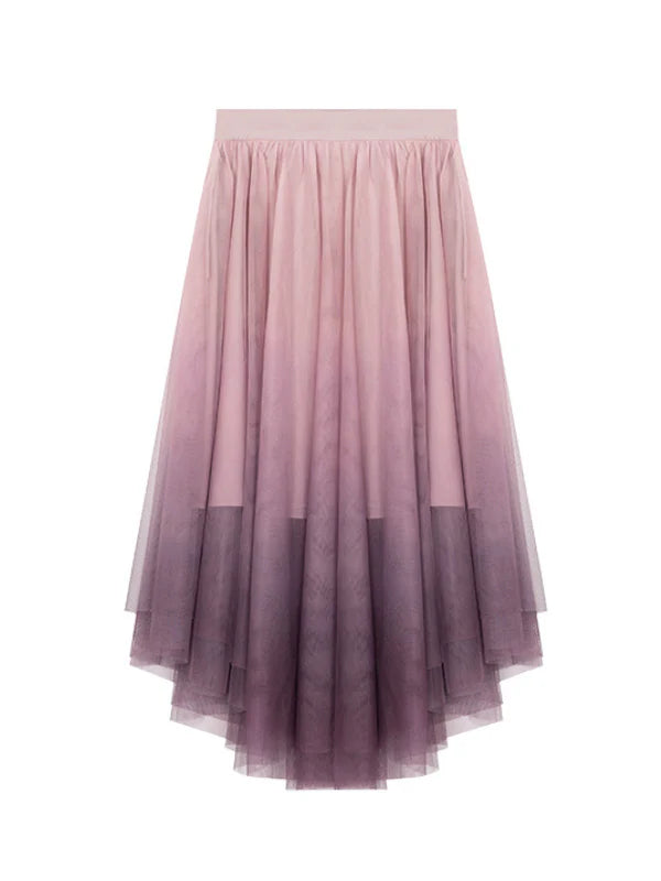 Ethereal Lace Bustier & Layered Tulle Skirt