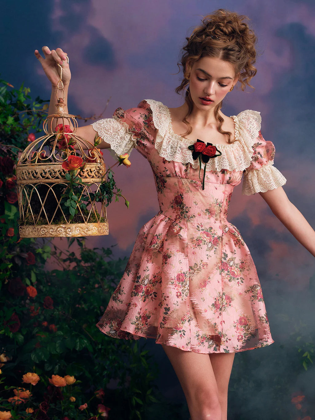 Vintage Rose Lace Frill Dress