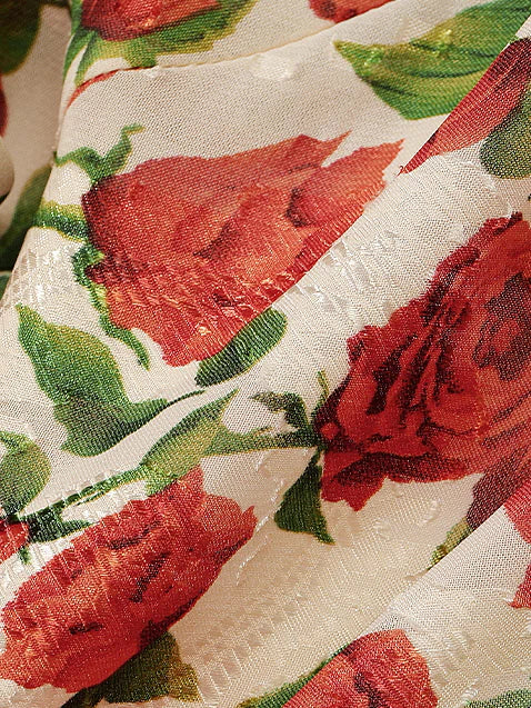 Ethereal Rose Garden Sheer Maxi Dress